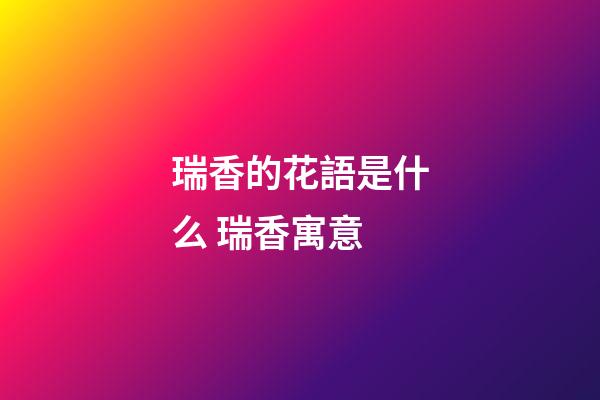 瑞香的花語是什么 瑞香寓意